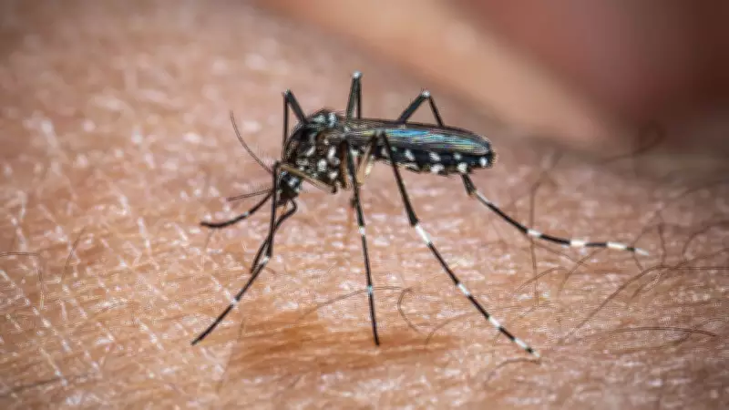Ministro Eloy Terena declara situação crítica de chikungunya em Dourados, MS