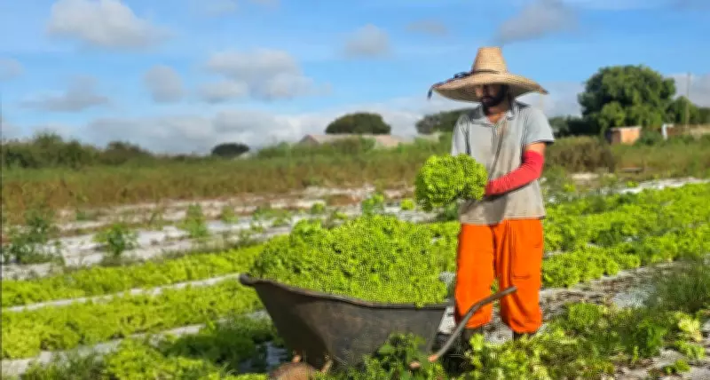 Montes Claros lança Promater: assistência técnica gratuita para agricultores