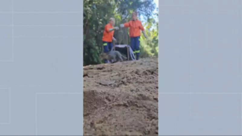 Morador de Ouro Branco captura jaguatirica em galinheiro após ataques a galinhas