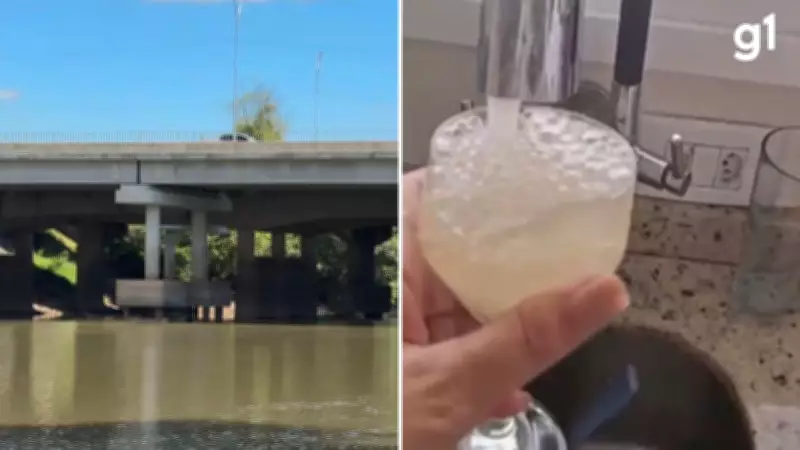 Moradores do RS enfrentam água com cor, gosto e cheiro devido a algas no Rio dos Sinos