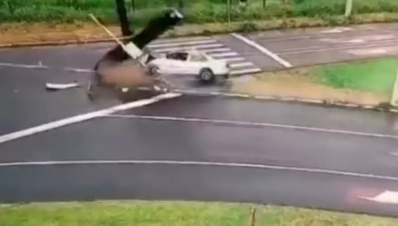 Motorista embriagado derruba semáforo e foge após acidente na rotatória do Cristo em São Carlos