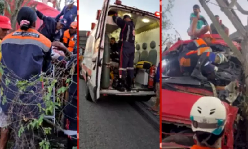 Motorista fica preso às ferragens após grave colisão entre carretas na BR-324