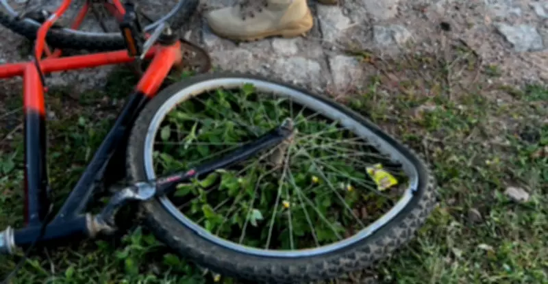 Motorista suspeito de atropelar e matar dois irmãos se apresenta à polícia na Paraíba