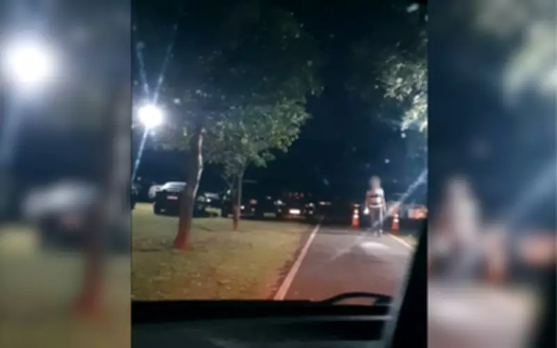 MP investiga uso de parque como estacionamento em show de Guns N' Roses em Rio Preto