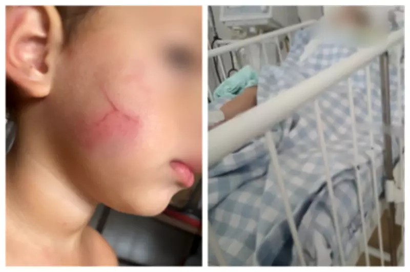 MP-SP rejeita prisão de babá suspeita de agredir bebê de 1 ano em Sorocaba