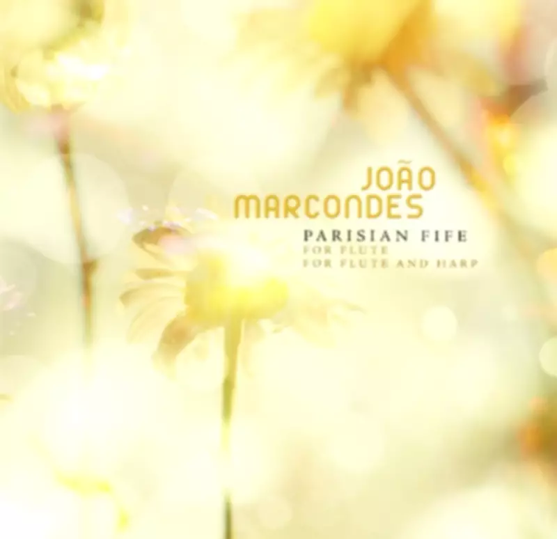 Música e Democracia: Como a Arte Pode Aquecer os Dias de Frio Político no Brasil