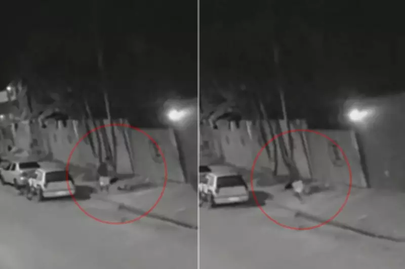 Mulher é assassinada a pauladas em frente à casa em Itanhaém; agressor foge