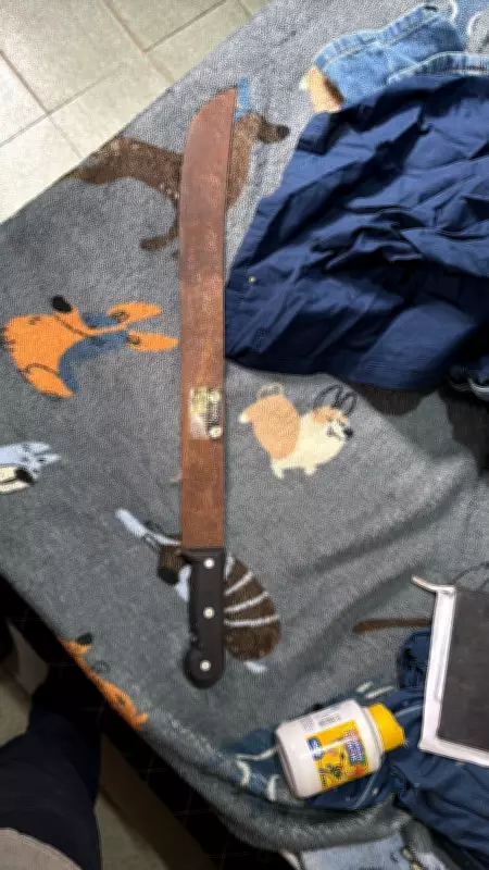 Mulher de 22 anos é presa pela PF em São Luís por divulgar mensagens extremistas