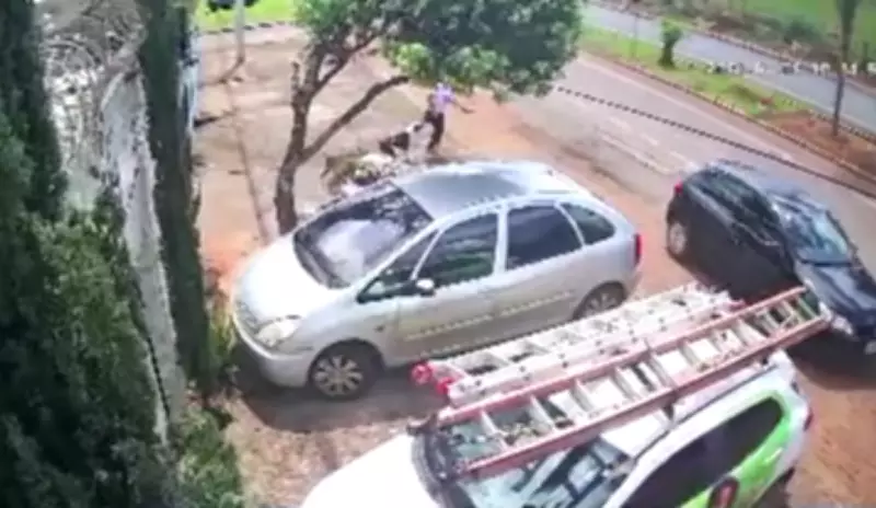 Mulher de 44 anos é atacada por pit bull em Patos de Minas; tutor é autuado