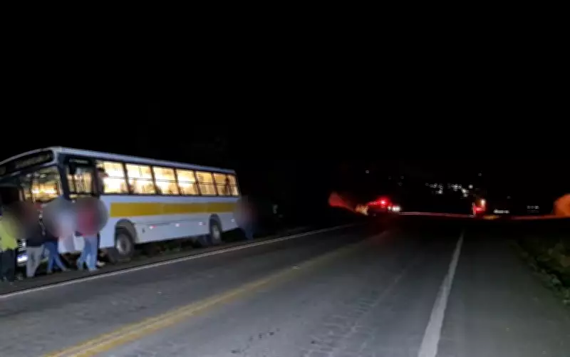 Mulher de 63 anos morre atropelada por caminhão na MG-446 em Alpinópolis, Minas Gerais