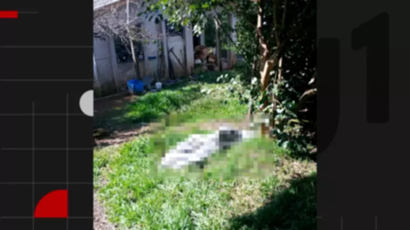 Mulher de 65 anos mata companheiro de 84 anos com golpes de machado no interior do RS