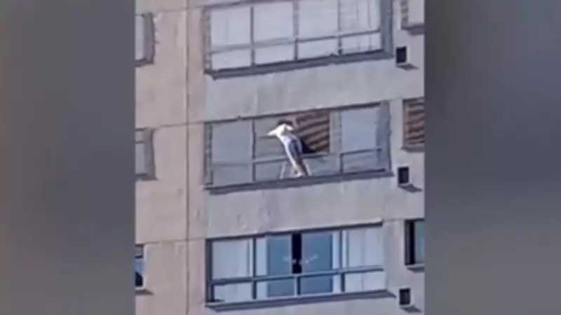 Mulher se pendura para limpar janela do 12º andar em Goiânia, sem segurança