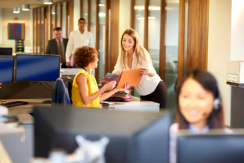 Mutirão de emprego oferece 300 vagas para jovens aprendizes na Zona Norte de SP