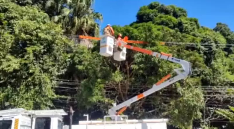 Mutirão de podas de árvores reforça segurança energética em Miguel Pereira, RJ
