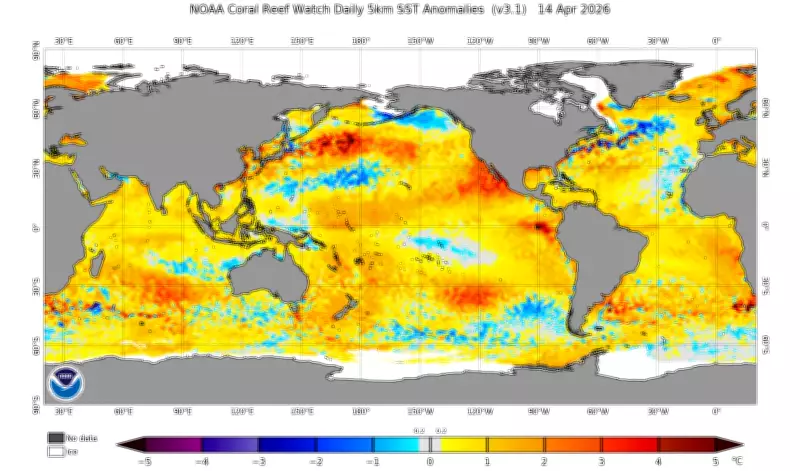 NOAA anuncia fim do La Niña e neutralidade climática no Pacífico até meados de 2026