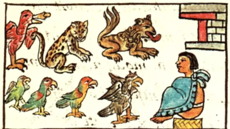 O Vivário de Montezuma: O Zoológico Asteca que Surpreendeu os Espanhóis há 500 Anos