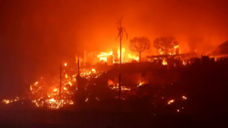 ONU alerta: planeta perde 10 milhões de hectares de florestas anualmente