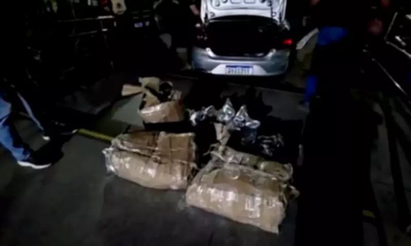 Operação apreende 80 kg de cocaína e prende homem em Santo Estêvão, Bahia