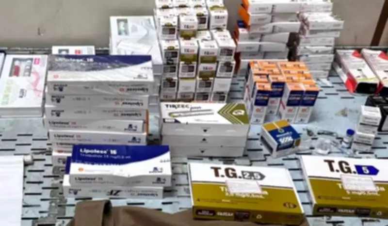 Operação apreende uma tonelada de emagrecedores ilegais em MS, escondidos em bonecas e pelúcias