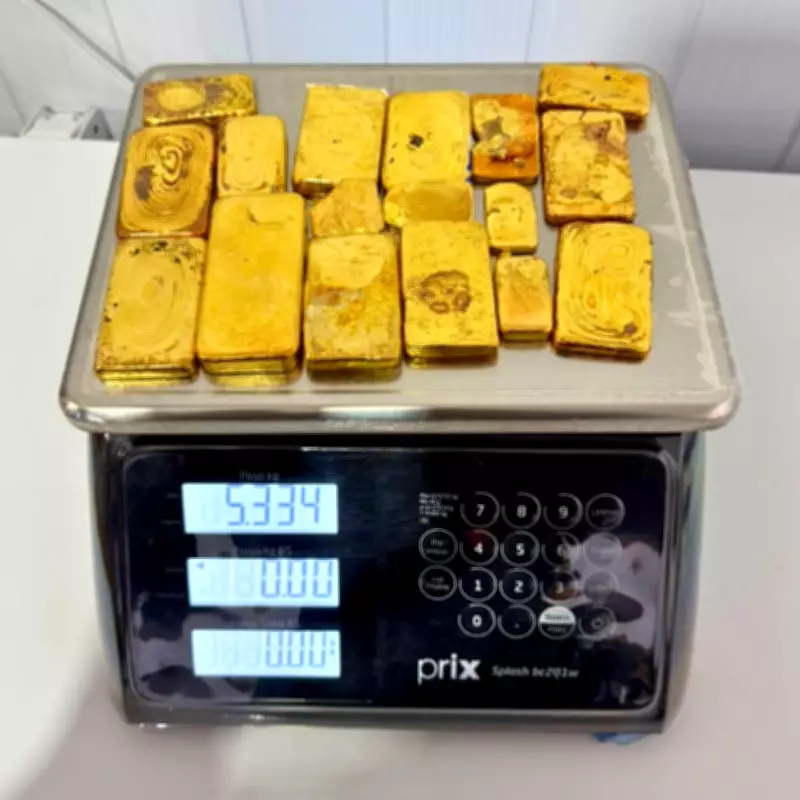 Operação Curare apreende mais de 5 kg de ouro ilegal na fronteira do Amazonas