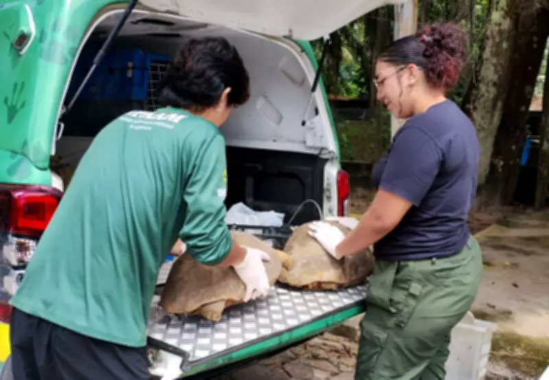 Operação do Ipaam resgata 53 animais silvestres de cativeiros ilegais em Manaus