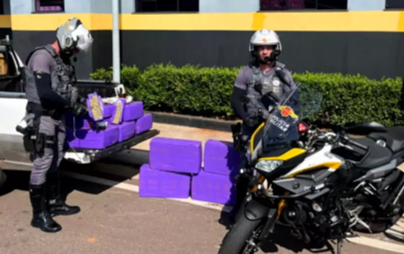 Operação Impacto apreende 320 kg de drogas e prende dois homens em Bauru e Palmital