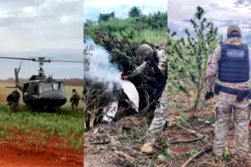 Operação Nova Aliança 54 apreende 200 toneladas de maconha na fronteira Brasil-Paraguai