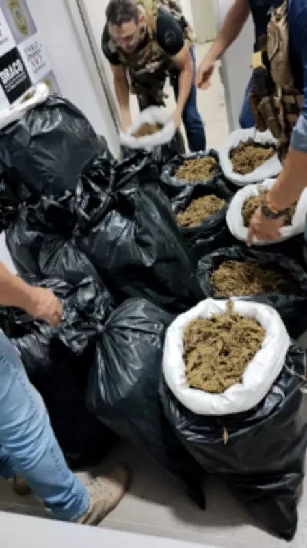 Operação policial apreende mais de 300 kg de maconha no Cariri da Paraíba