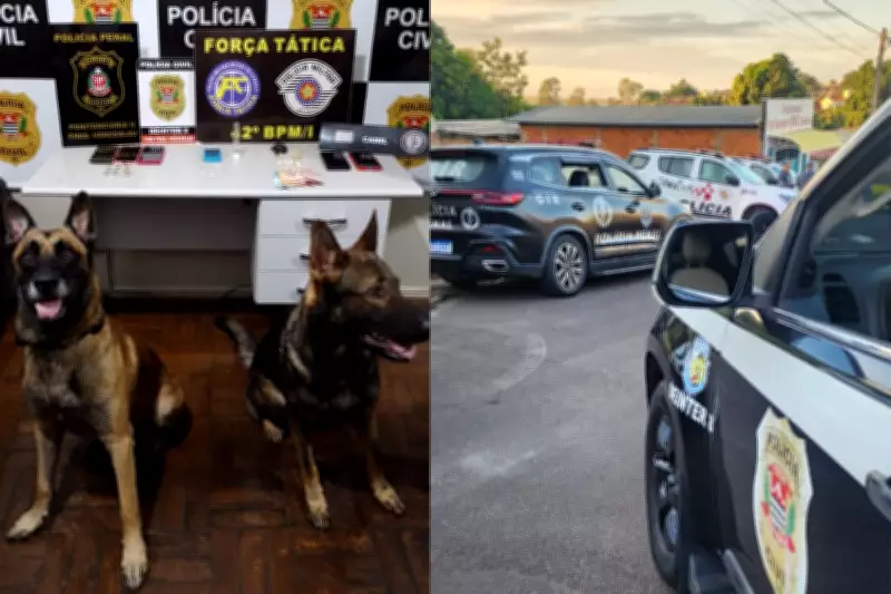 Operação policial com cães farejadores prende três por tráfico de drogas em Presidente Venceslau