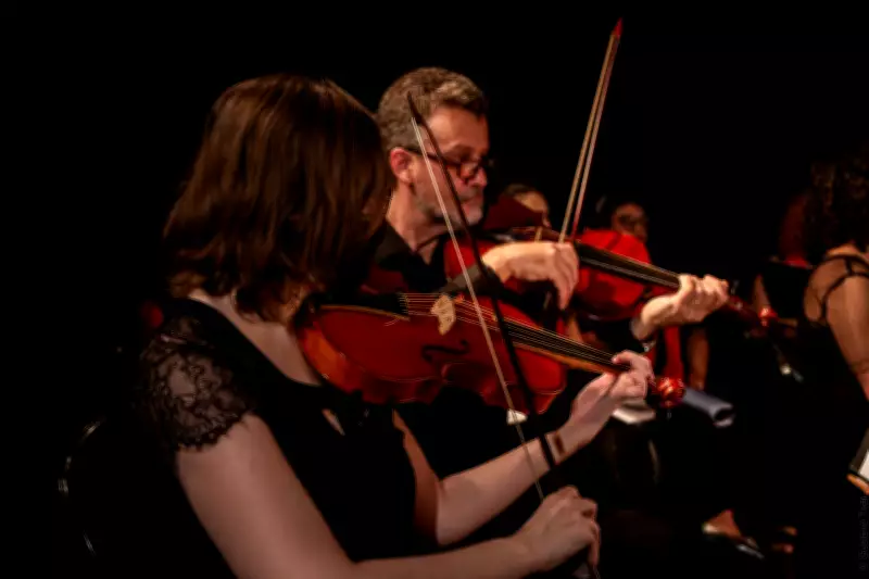 Orquestra 415 resgata sons coloniais com cordas de tripa em BH