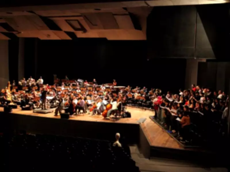 Orquestra Sinfônica de Santos apresenta concerto gratuito com obras clássicas