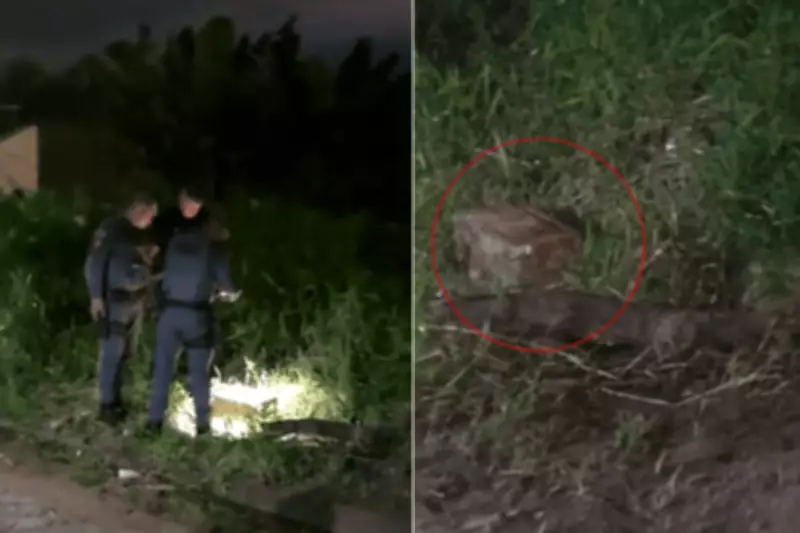 Ossada de bebê é encontrada em caixa de concreto em Itanhaém, SP