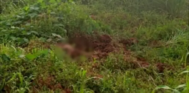 Ossada Humana é Encontrada Durante Escavação em Creche de General Carneiro (MT)