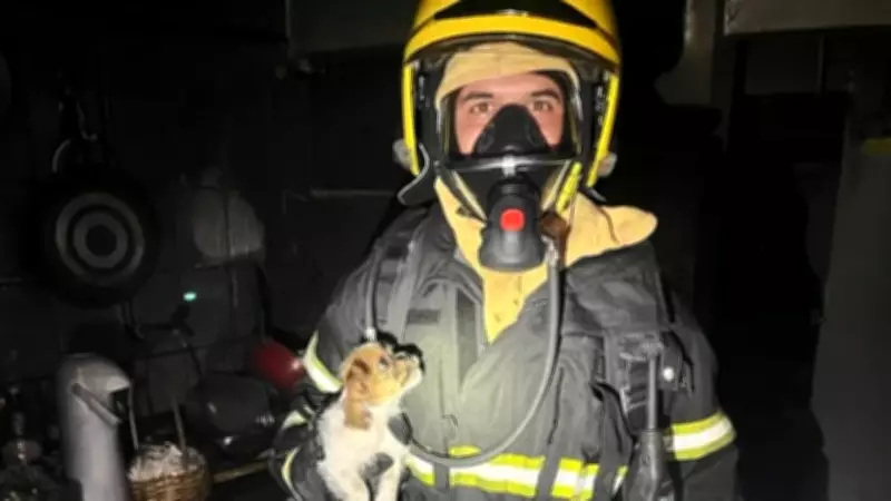 Pai e filhas são resgatados desacordados após incêndio em apartamento de Colatina