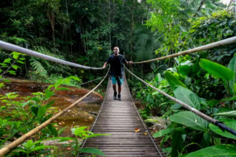 Parque Nacional da Tijuca bate recorde com 4,9 milhões de visitantes em 2025
