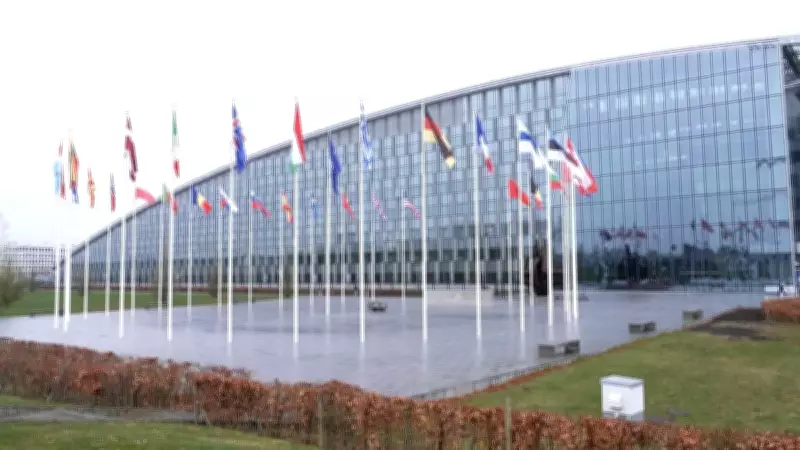 Países da Otan recusam apoio a bloqueio de Trump contra portos do Irã