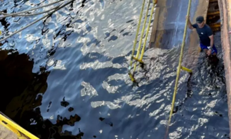Passarela de acesso à balsa quebra e cai no Rio Negro em Manaus