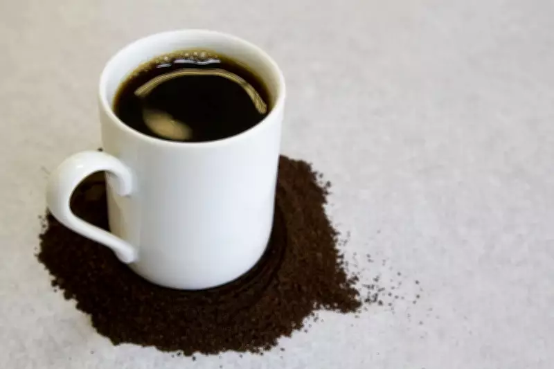 Patrocínio, a capital mundial do café, atrai compradores japoneses e australianos em leilão