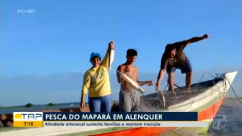 Pesca artesanal do mapará inicia em Alenquer com destaque para mulheres e sustentabilidade