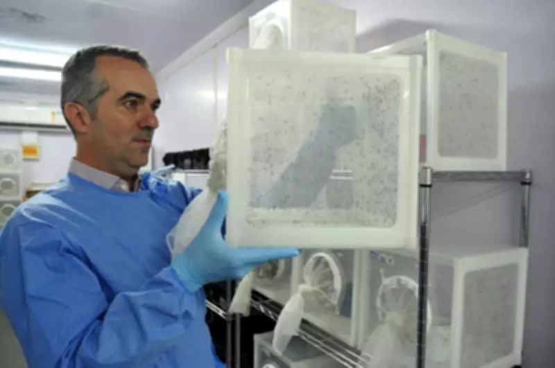 Pesquisador brasileiro na lista Time 2026 por método inovador contra dengue