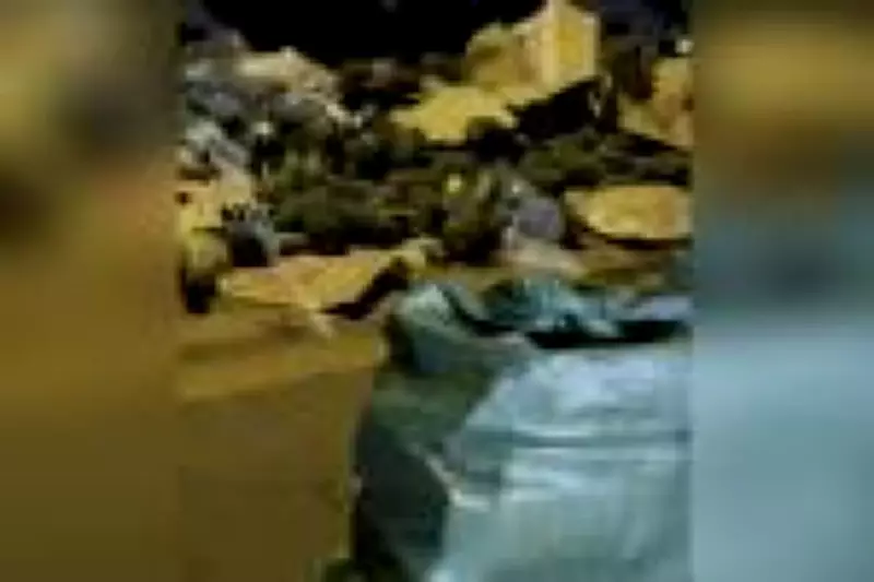 PF apreende quase meia tonelada de cocaína em caminhão de abacaxi no Tocantins