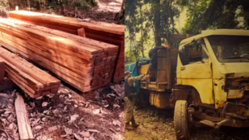 PF desmantela garimpo e extração ilegal de madeira em terra indígena no Pará