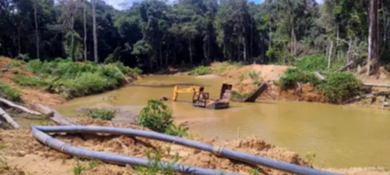 PF destrói ponte clandestina usada por garimpeiros em áreas protegidas de Rondônia