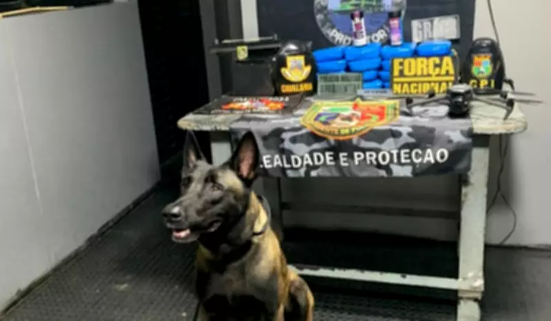 PM do Amazonas apreende 17,5 kg de cocaína em esteira e bateria e prende dupla
