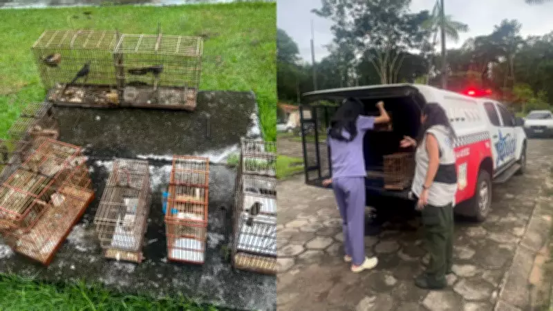 Polícia Ambiental apreende oito aves silvestres e aplica multa de R$ 3 mil em Santa Izabel do Pará