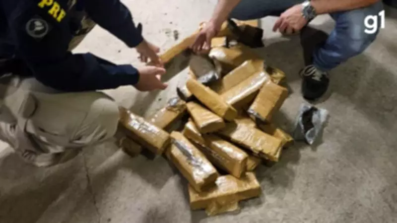 Polícia apreende 21 tijolos de maconha ocultos em tanque de combustível na BR-290