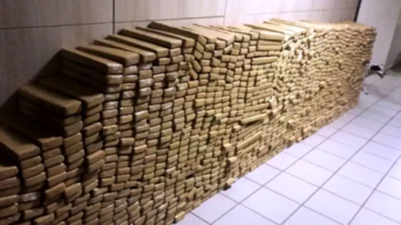 Polícia apreende 48 toneladas de maconha no Rio, maior apreensão do país