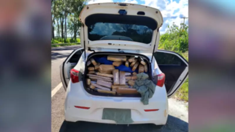 Polícia apreende mais de meia tonelada de maconha em rodovia de Nhandeara, SP