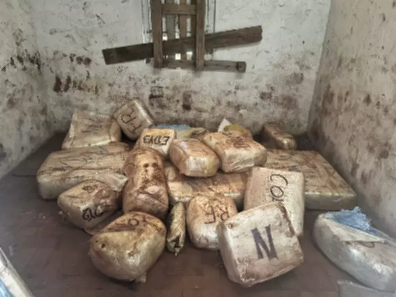 Polícia Civil apreende 300 kg de drogas e prende suspeito em chácara de Serra Negra
