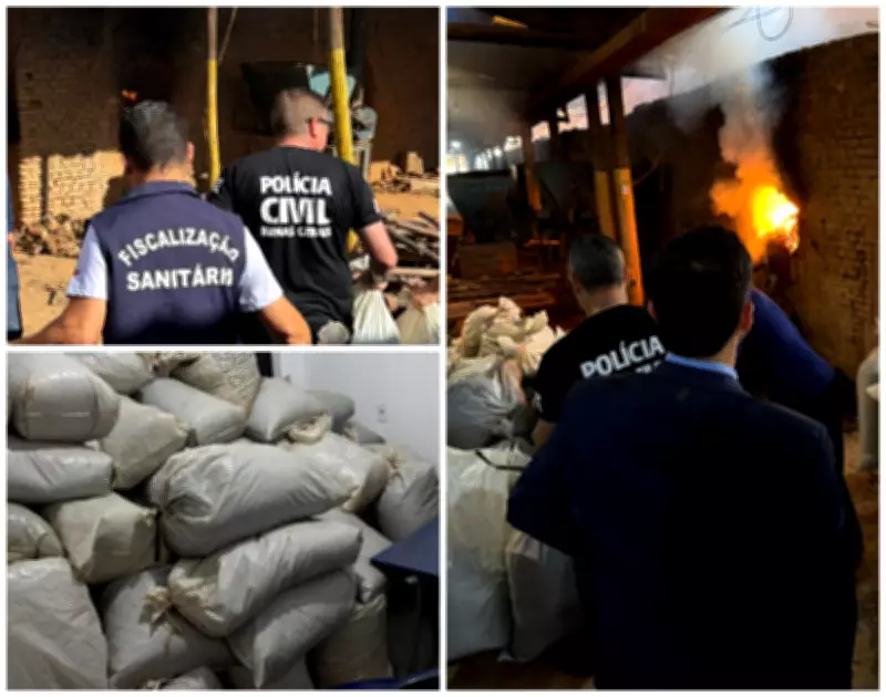 Polícia Civil incinera 500 quilos de maconha apreendidos no Vale do Jequitinhonha